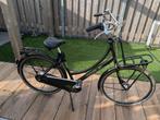 Cortina U4 Transportfiets Family - Groen - Frame 50, Fietsen en Brommers, Fietsen | Dames | Damesfietsen, 50 tot 53 cm, Ophalen