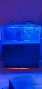 Redsea reefer 350 zeeaquarium leeg met alle apparatuur, Dieren en Toebehoren, Vissen | Aquaria en Toebehoren, Ophalen, Gebruikt