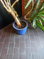 Plantenbakken, Tuin en Terras, Ophalen, Steen, Balkon, Minder dan 60 cm