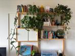 IKEA Svalnäs zwevende wandkast, Ophalen, 150 tot 200 cm, Nieuw, Met hangruimte
