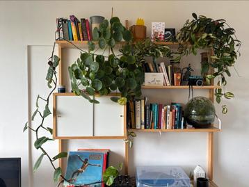 IKEA Svalnäs zwevende wandkast beschikbaar voor biedingen