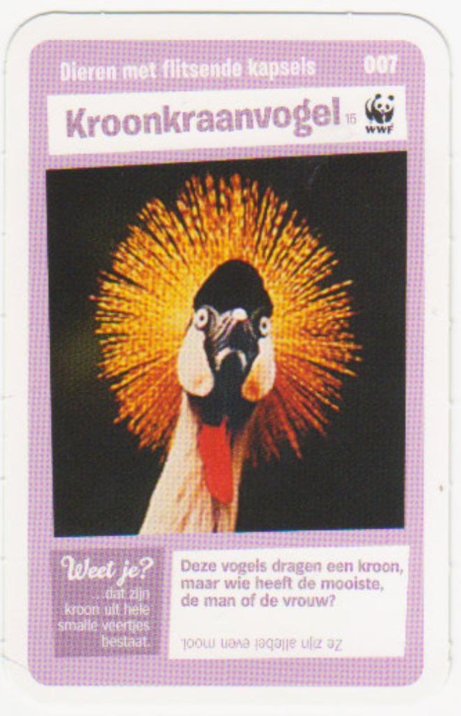 Super dieren no.7 Kroonkraanvogel [1018]  [VeOvSu], Verzamelen, Supermarktacties, Albert Heijn, Ophalen of Verzenden