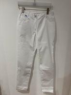 Nieuwe Zorg Werkbroek - Maat 38, Geen, Nieuw, Ophalen of Verzenden, Geen