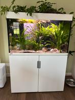 Eheim aquarium met overflow ruim 300 liter, Dieren en Toebehoren, Ophalen, Zo goed als nieuw, Leeg aquarium