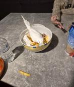 2 handtamme valkparkieten incl kooi etc, Mannelijk, Parkiet, Pratend