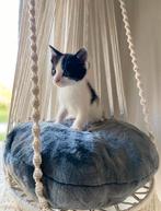 Handgemaakte macramé kattenhangmat -uniek & natuurlijk, Ophalen of Verzenden, Nieuw