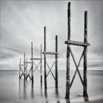 606. Kleurenfoto, Wiepke Folkerts – 2021, Ophalen of Verzenden