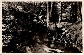 Ermelo - Beek in het Leuvenumsche bosch (1946) beschikbaar voor biedingen