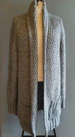 Dolce Vita vest, Kleding | Dames, Ophalen of Verzenden, Zo goed als nieuw, Grijs