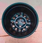 Kweekpotten plantenpotten bloempotten 2 liter, Tuin en Terras, Bloempotten, Kunststof, Gebruikt, Rond, Ophalen of Verzenden