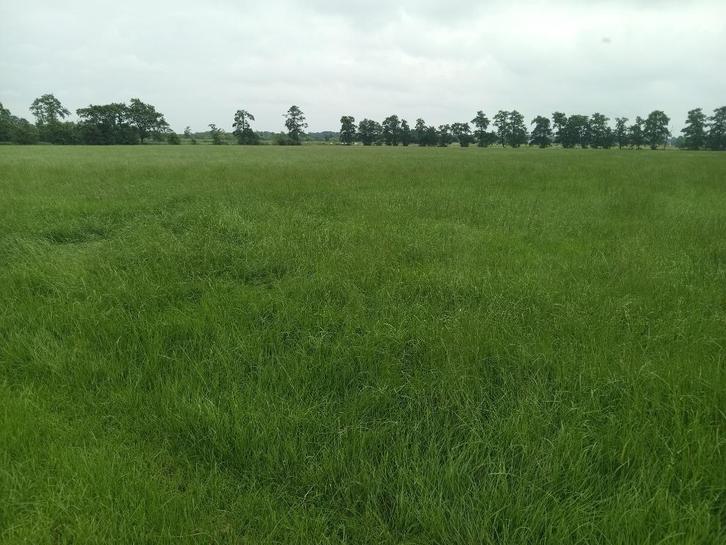 Kuil, ronde balen, Dieren en Toebehoren, Dierenvoeding, Vee, Ophalen of Verzenden