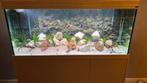 Prachtig Aqualantis aquarium 151x50x60, Dieren en Toebehoren, Ophalen, Zo goed als nieuw, Leeg aquarium