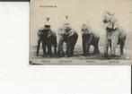 Scheveningen Circus Hagenbeck met Olifanten en dierentemmers, Ophalen of Verzenden, Voor 1920, Zuid-Holland