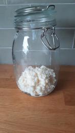 Melkkefir plantjes 50 gram, Diversen, Levensmiddelen, Ophalen of Verzenden