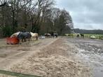 Stalling / weidegang, Dieren en Toebehoren, Stalling en Weidegang, Stalling