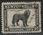 Y793 Newfoundland 170 gestempeld Dieren, Postzegels en Munten, Postzegels | Amerika, Verzenden, Gestempeld, Zuid-Amerika