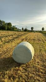 1e snede hooi in midibalen van 2024, Dieren en Toebehoren, Dierenvoeding, Ophalen, Vee