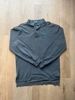 Polo Ralph Lauren Polo Shirt - Maat M, Ophalen of Verzenden, Zo goed als nieuw, Maat 48/50 (M), Grijs
