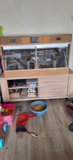 Mooie dubbele terrarium, Dieren en Toebehoren, Slang, 0 tot 2 jaar