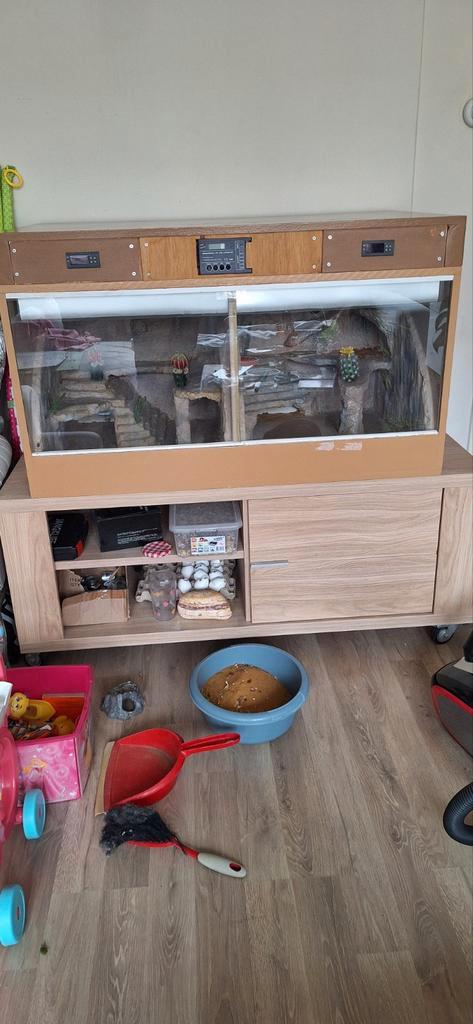 Mooie dubbele terrarium, Dieren en Toebehoren, Reptielen en Amfibieën, Slang, 0 tot 2 jaar