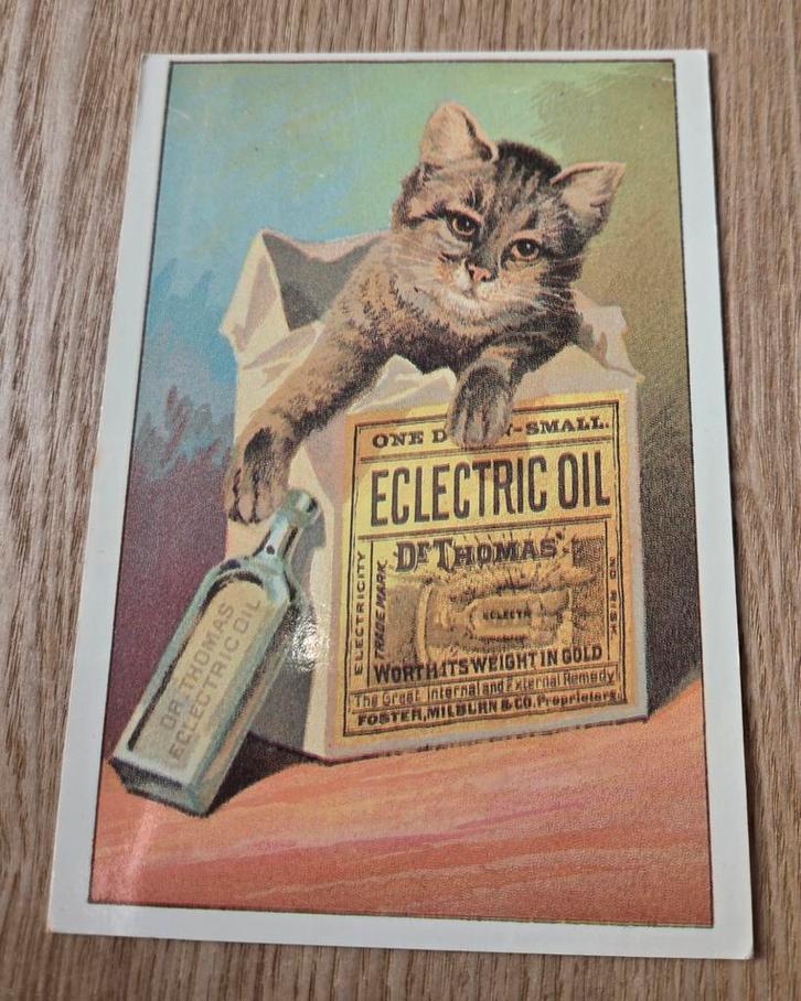 Dr. Thomas' Eclectric Oil - Kat kruipt uit doos, Verzamelen, Ansichtkaarten | Dieren, Ongelopen, 1980 tot heden, Hond of Kat, Verzenden