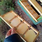 Ambachtelijke NL honing/ raathoning, Ophalen of Verzenden