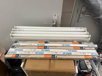 Plafondlampen met TL buizen beschikbaar voor biedingen