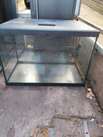 Aquarium, Dieren en Toebehoren, Ophalen of Verzenden, Leeg aquarium
