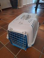 Reismandjes katten, Dieren en Toebehoren, Ophalen, Gebruikt