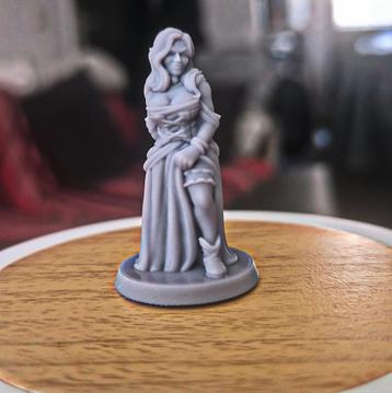 Dungeons & Dragons, D&D, HeroQuest, miniature , Pin Up beschikbaar voor biedingen