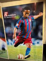 Twee poosters  93x62 cm in wissellijst, Ophalen of Verzenden, Zo goed als nieuw, Poster, Plaatje of Sticker