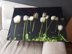 TULPEN   "Werk aan de muur", Ophalen of Verzenden, Zo goed als nieuw, Schilderij, 75 cm of meer