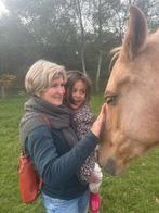 Ruiter zoekt paard op de Veluwe als bijrijder, Ophalen