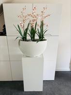 Hoogglans witte zuil met ovale bloempot / bloembak., Huis en Inrichting, Ophalen, Gebruikt