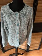 Apart vest met glitters maat 42, Kleding | Dames, Truien en Vesten, Ophalen of Verzenden, Zo goed als nieuw, Maat 42/44 (L), Overige kleuren