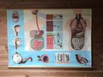 Anatomische Schoolplaat - Spijsvertering, Ophalen, Natuur en Biologie