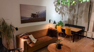 Bruine driezits velvet bank VT wonen izgs
