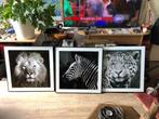 3 Dierenfoto's, 50 tot 75 cm, Ophalen of Verzenden, Zo goed als nieuw, Foto of Poster