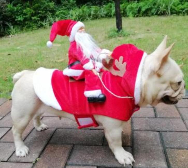 Kerstkostuum cosplay voor hond met ruglengte ca. 40 cm, Dieren en Toebehoren, Hondenkleding, Zo goed als nieuw, Hondenkostuum
