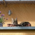 nieuw katten beschermnet met draadversterking 8x3 meter, Dieren en Toebehoren, Nieuw, Ophalen of Verzenden