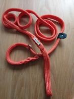 Honden jachtlijn met dubbele stop. Oranje., Ophalen, Nieuw, Hondenriem