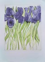 Irissen - Kunstenaar: Eva Aberkrom, Ophalen of Verzenden