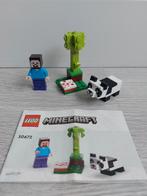Lego Minecraft 30672 Steve and Baby Panda! Compleet!!, Kinderen en Baby's, Speelgoed | Duplo en Lego, Ophalen of Verzenden, Zo goed als nieuw