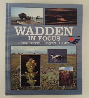 Wadden in focus / Nederlands - Engels - Duits beschikbaar voor biedingen