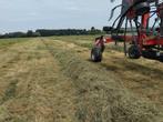 Ronde balen voordroog 2de snee 2025, Dieren en Toebehoren, Dierenvoeding, Ophalen, Vee