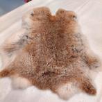 Super mooi konijnenbontje mooi kleedje, Ophalen of Verzenden, Zo goed als nieuw