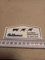 Hollema surhuisterveen, Ophalen of Verzenden, Zo goed als nieuw