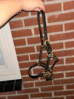 Leren halster maat mini shetlander, Ophalen of Verzenden, Zo goed als nieuw, Overige soorten