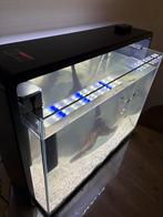 aquarium 80 liter, Ophalen, Gebruikt, Leeg aquarium