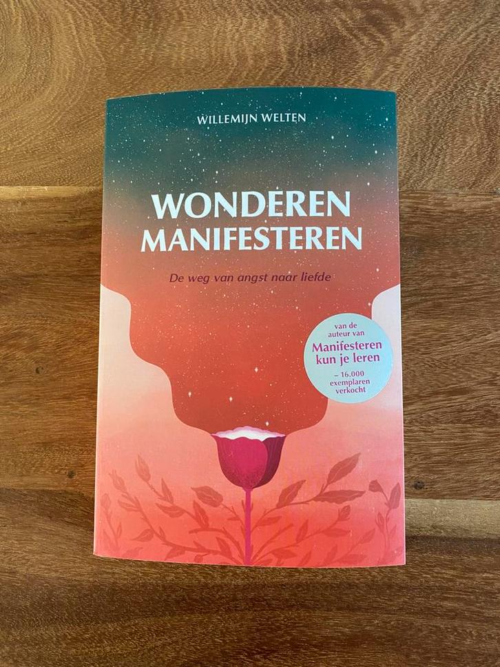 Nieuw | Wonderen manifesteren | Willemijn Welten, Boeken, Psychologie, Nieuw, Ophalen of Verzenden